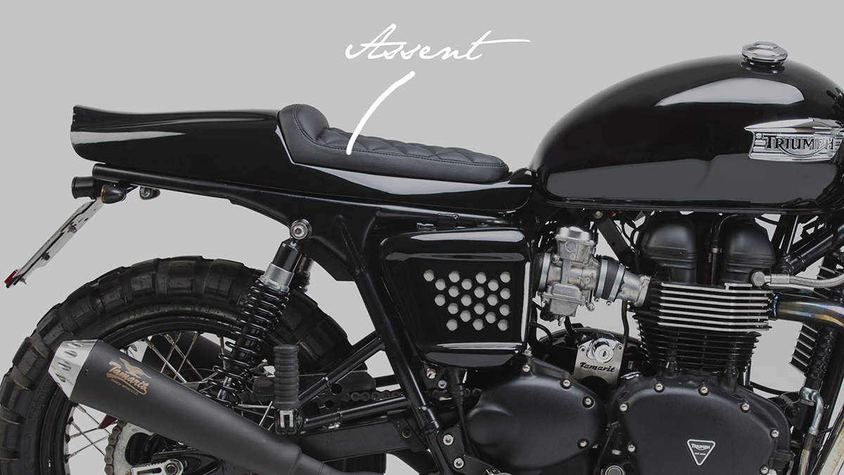 asiento triumph assent