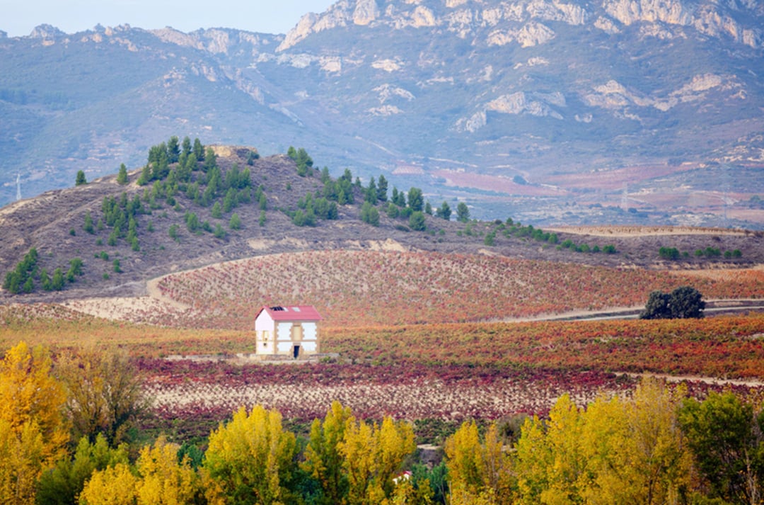 rioja3